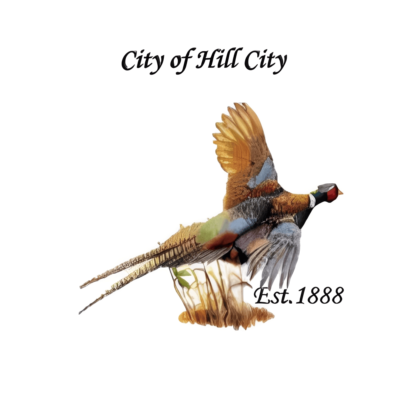 Hill City emblem featuring a colorful pheasant